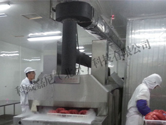 液氮箱式速凍設(shè)備